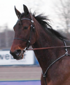 Quality Questioned 160207-8